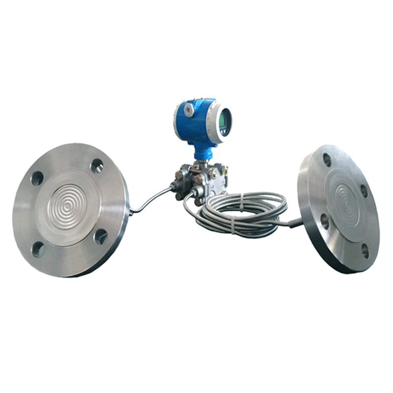 IP66-67-双法兰液位变送器，带 LCD 显示屏